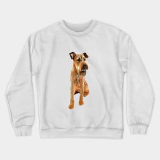 Irish Terrier Beauty Crewneck Sweatshirt